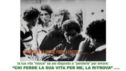 mostra 1984