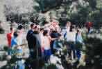 1987 Ficuzza