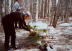1984 Lorica