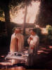1984 Lorica