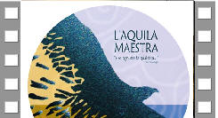 aquila maestra